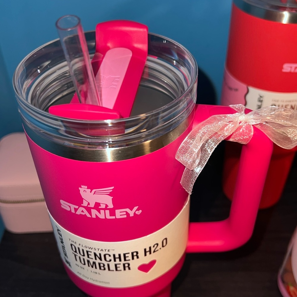 Valentine’s Day Stanley